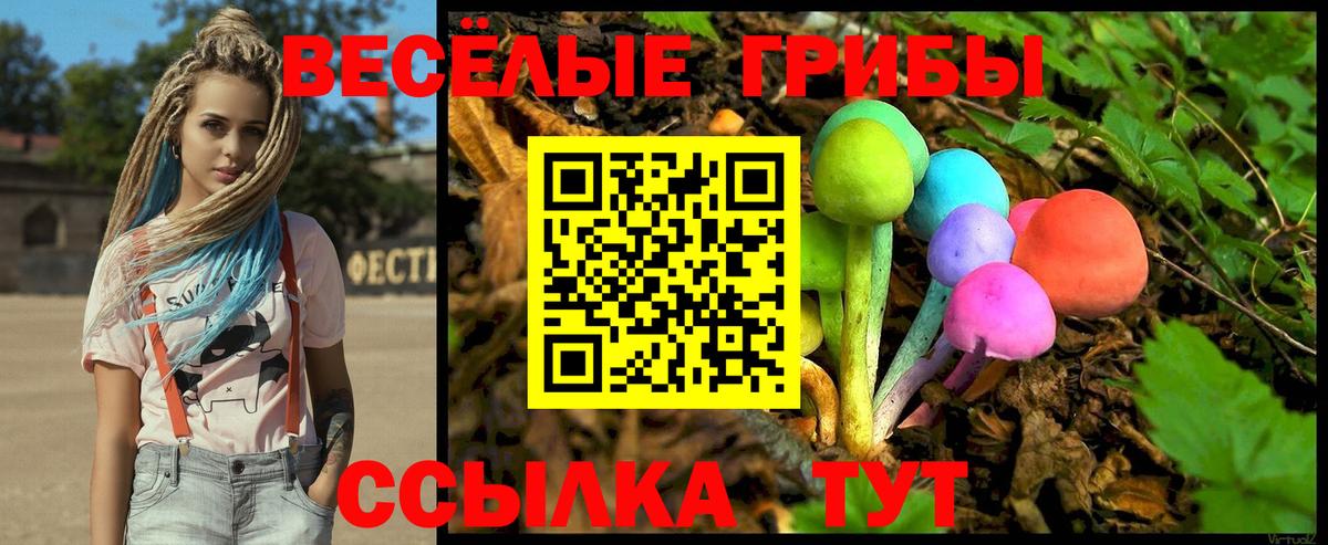 Галлюциногенные грибы Cubensis  Вход с VPN  Братск 